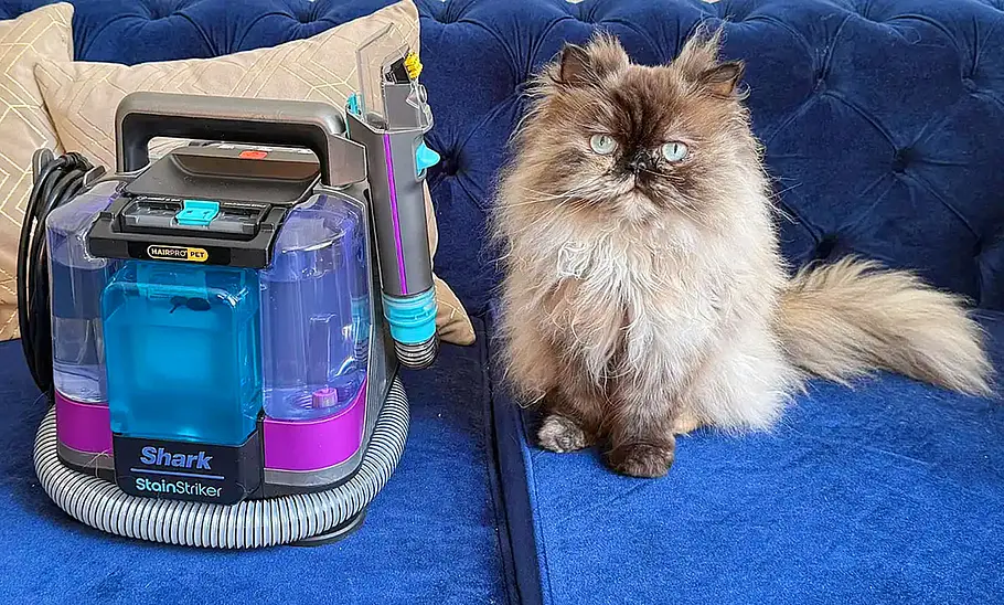 Shark StainStriker HairPro im Praxistest Das Bild zeigt den Shark StainStriker HairPro auf einem Sofa, daneben sitzt eine Katze.