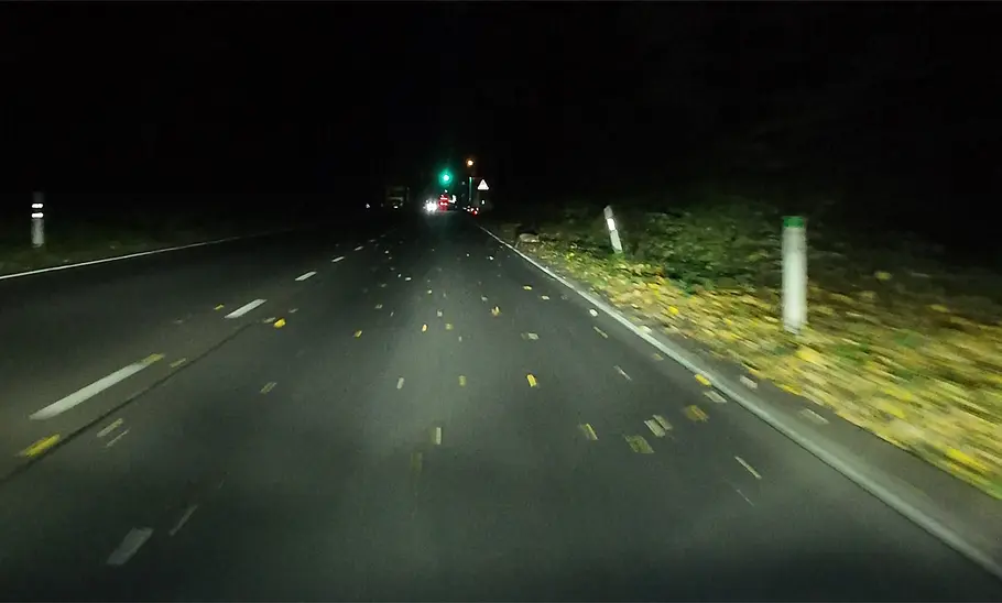 Von Philips H7-LED erleuchtete Straße mit Fuchs am rechten Straßenrand, fotografiert aus dem fahrenden Auto.