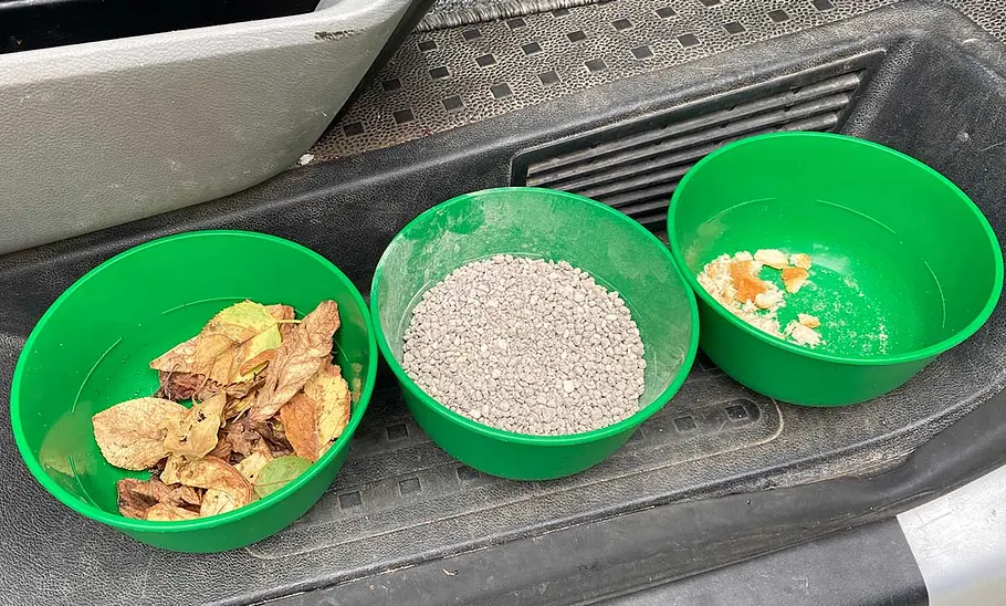 Das Foto zeigt drei grüne Schüsseln mit Laub, Katzenstreu und Brötchenkrümeln auf der Türschwelle eines Campers.