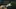 Video Platzhalter Video Platzhalter