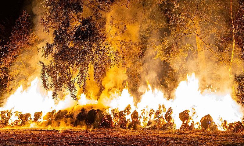 Deshalb auf keinen Fall auf Gras parken!