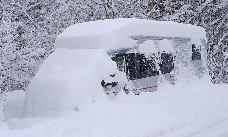 So Frostschäden vermeiden