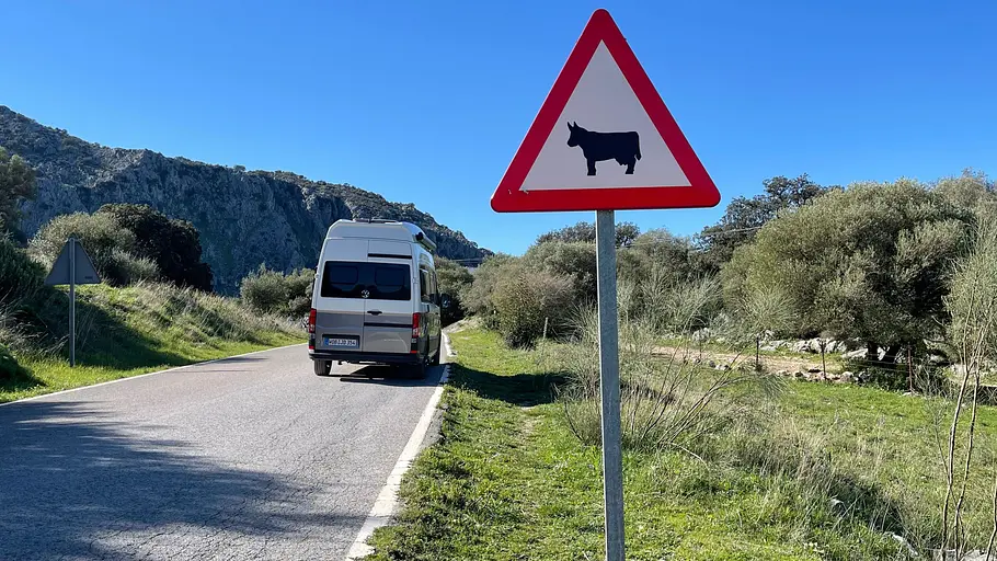Ein Wildwechsel-Warnschild am Straßenrand neben einer schmalen Landstraße in Andalusien. Der VW Grand California steht kurz hinter dem Schild.