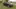 Video Platzhalter