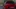 Video Platzhalter Video Platzhalter