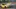 Video Platzhalter