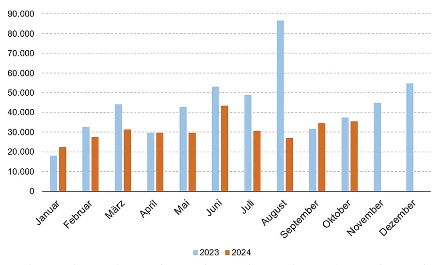 Statistik der Entwicklung der E-Auto-Zulassungen 2023/2024.