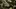 Video Platzhalter Video Platzhalter