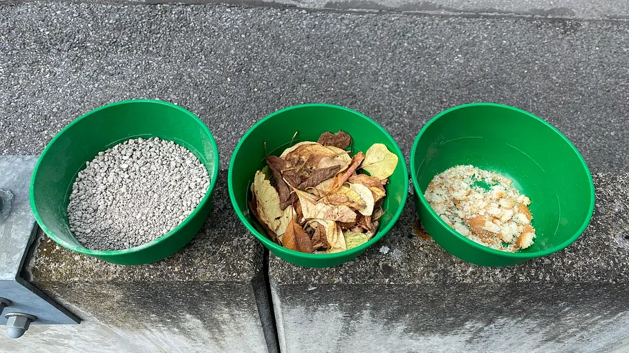 Drei Plastikschalen mit Testmaterial.