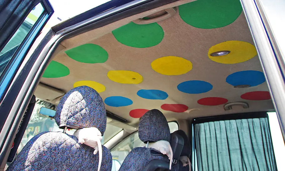 Der Dachhimmel des Fiat Multipla Ratte.