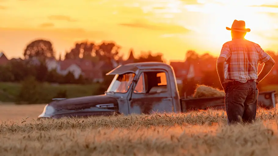 Ford F-100 V8 Stepside Der Ford F-100 V8 Stepside stehend in einem Feld