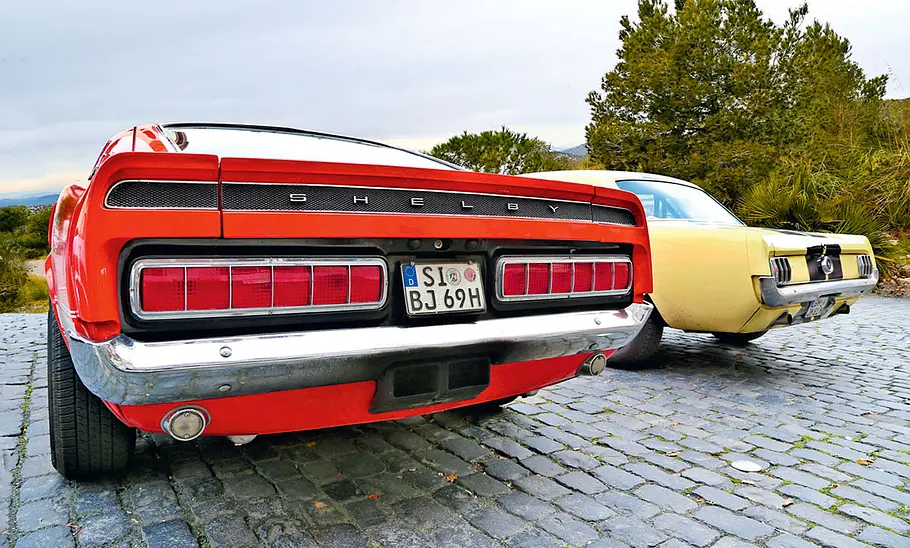 Shelby GT500 und Ford Mustang GT stehend von hinten