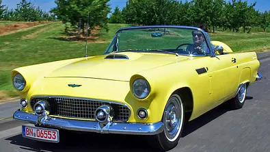 Ford Thunderbird: Classic Cars - Foto: Jürgen Zerha