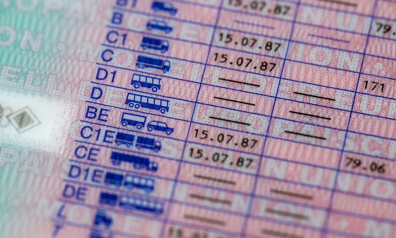 Rot Grn Schwche Lkw Fhrerschein