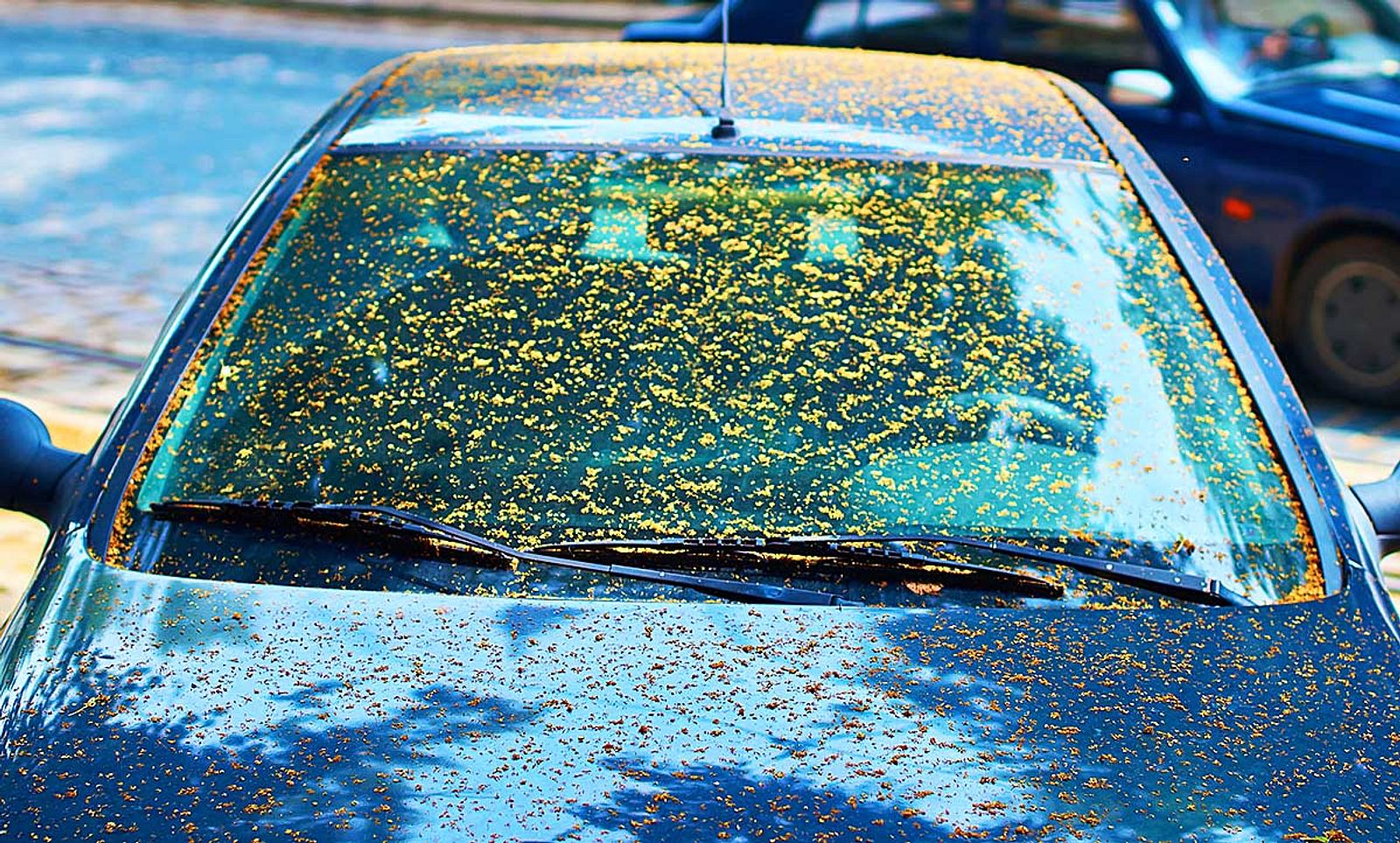 Wunderbar Harz Vom Auto Entfernen Bilder