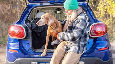 Hund im Auto: Tipps für den Kofferraumschutz - Foto: Imago