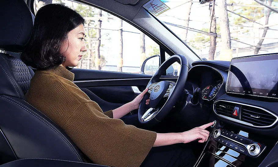 Hyundai Santa Fe (2018) Hyundai Santa Fe (2018)