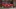 Video Platzhalter Video Platzhalter