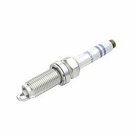 Bosch Platinum Iridium Evo