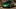 Video Platzhalter Video Platzhalter