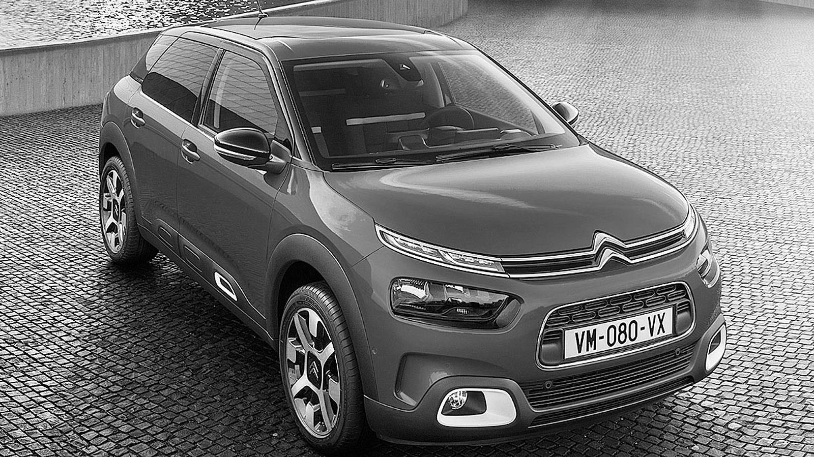 Citron C4 Cactus
