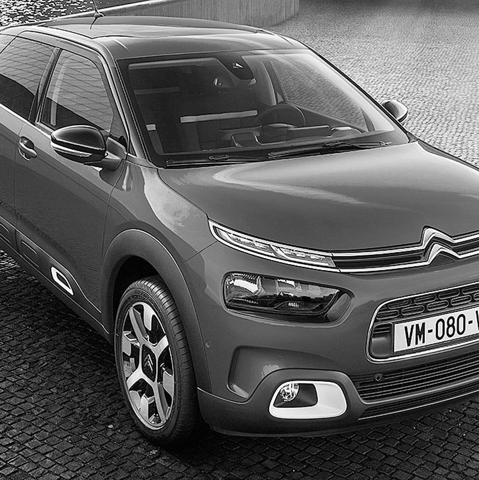 Citron C4 Cactus