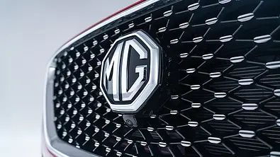 Wirtschaft: MG - Foto: MG