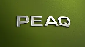 Die Modellbezeichnung Skoda Peaq am Heck im Detail. - Foto: Skoda