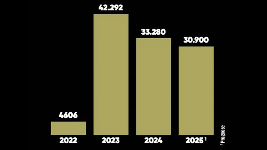 Smart-Absatzprobleme in der Analyse Das Balkendiagramm zeigt die Smart-Verkäufe in China in den Jahren 2022 bis 2025.