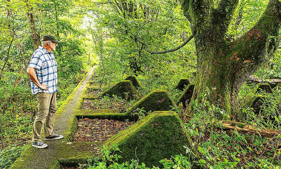Blick von der Seite auf einen älteren Herren, der sich die Überreste des Westwalls anschaut.