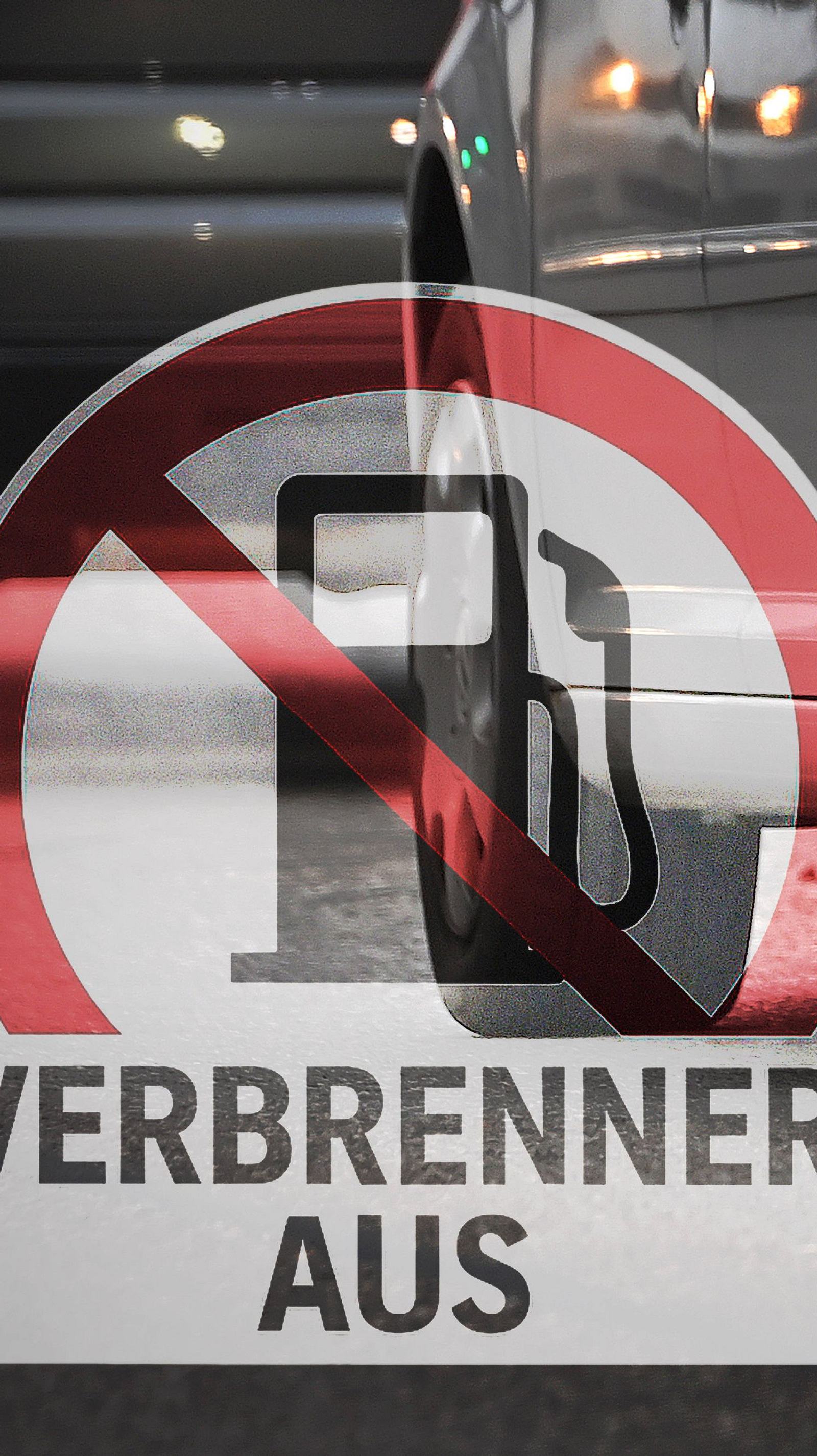 pflege olivenbaum im zimmer Olivenbaum Olea Europaea XL – vielgrün
