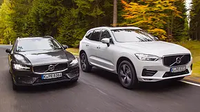 Volvo V60/Volvo XC60: Test - Foto: Niklas Gotta