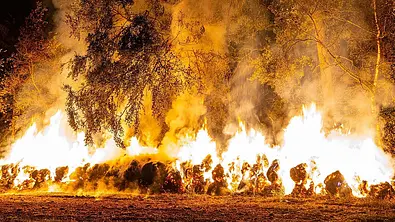 Waldbrandgefahr - Foto: Imago